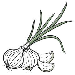 Fresh garlic bulb and cloves are displayed with vibrant green shoots highlighting its culinary significance and natural appeal ideal for cooking enthusiasts