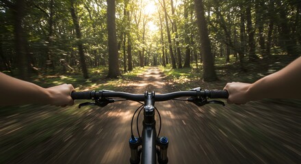 Cycling Through the Forest