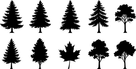 Fototapeta premium various deciduous trees silhouettes on the white background. vector set. PNG white background 