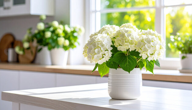 White Hydrangea flowers in white ceramic vase