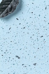 Abstract Textured Surface with Leaf Element, Modern Minimalist Composition