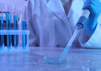 Scientist taking sample with micropipette out of Petri dish at table in laboratory, closeup