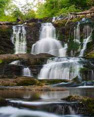 Obraz premium Waterfall in the Forest
