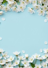 Floral Background White Flowers Spring Blossoms Bloom Nature Petals