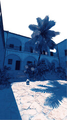 Blue monochrome courtyard with palm tree under night sky