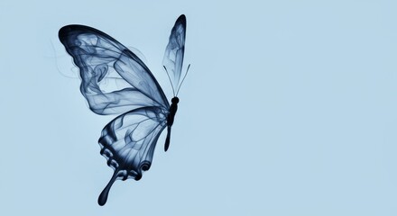 Illustration of a Blue Butterfly Wing Isolated on a Blue Background