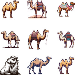 various art style camel vector