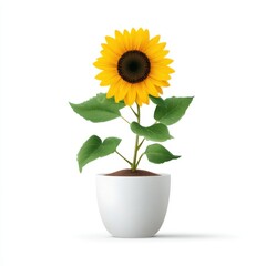 Obraz premium Minimalist vector illustration of a sunflower in a white pot, clean white background, flat design