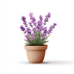 Obraz premium Vector illustration of a lavender flower in a simple modern pot on a plain white background