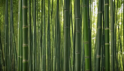Fototapeta premium Verdant bamboo forest, dense bamboo stalks, natural textures, green environment