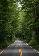 Obraz premium Scenic Photo of Road Through Verdant Green Forest Trees Natural Way