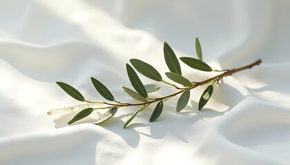 Olive Branch on White Satin
