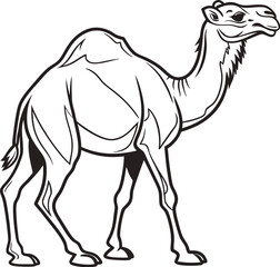 Minimalist Two-Humped Camel Line Art – Black and White Side 