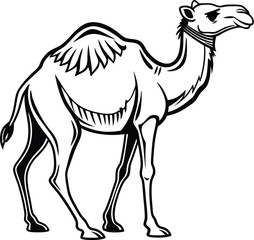 .Minimalist Two-Humped Camel Line Art – Black and White Side Profile Vector