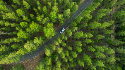 Aerial view of dark green forest road and white electric car Natural landscape and elevated roads...