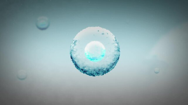  A Stem Cell in a Human Body