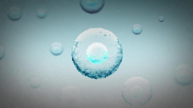 Many Stem Cells within the Body of a Young Child