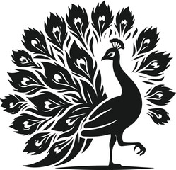 Clipart drawing of a cute bird animal peacock vector