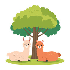 Two Llamas Resting Under Green Tree