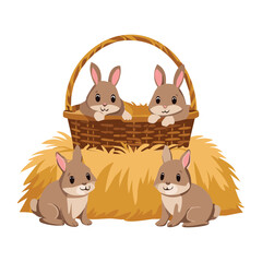 Cute Bunnies in Basket with More