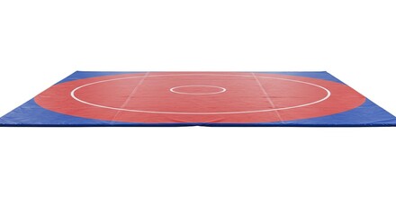 Wrestling mat with red center circle on blue surface