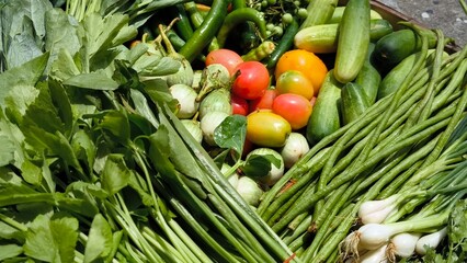 Fresh vegetables for cooking. Vegetables contain dietary fiber that helps cleanse the intestines.