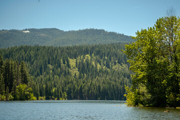 lake in the forest