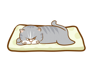 不機嫌な猫、横になる