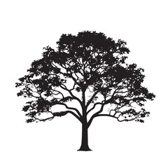 Walnut Tree Silhouette for Print and Web
