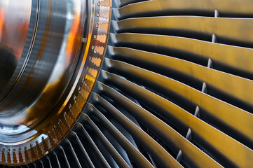 Shaft and blades of a powerful steam turbine. Elements for fastening the blades in the shaft socket.