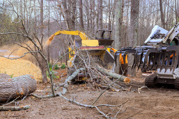 Heavy machinery operates to clear fallen branches trees in forested location, using tree grinder