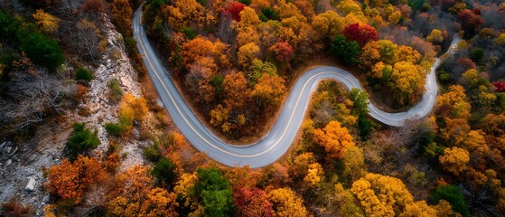 Winding autumn road through colorful forest aerial view
