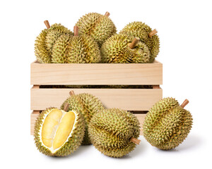 Durian fruit isolated on white