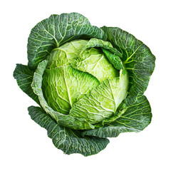Fresh green cabbage with vibrant leaves, showcasing its natural beauty and healthy appeal. Perfect for salads and cooking