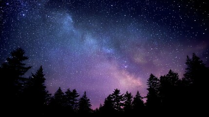 Majestic night sky milky way galaxy over silhouetted trees