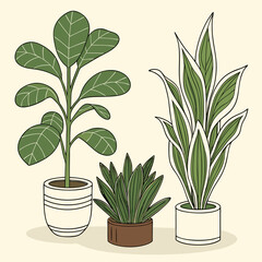 Three potted plants illustration home decor green leaves