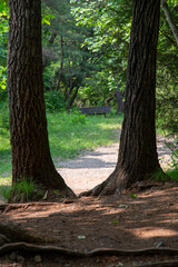 창령포 역사 풍경 이야기