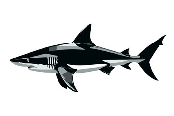 Obraz premium shark vector illustration