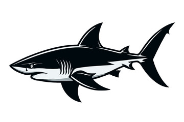 Obraz premium shark vector illustration