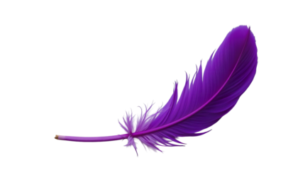 Vivid Purple Feather on a Transparent Background for Creative and Artistic Projects