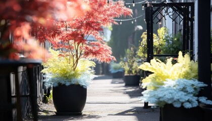 Urban garden alleyway