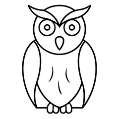 owl on white background