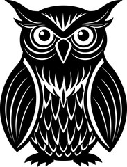 owl on white background