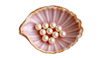 Elegant pink shell with shiny pearls arranged beautifully on a delicate surface, perfect for decorative themes