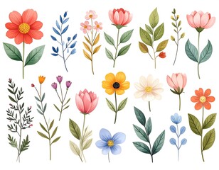 Colorful floral design elements