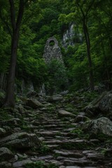Rocky path leading to a stone arch in a lush forest