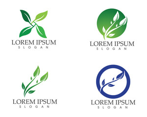 leaf green nature logo and symbol template Vector