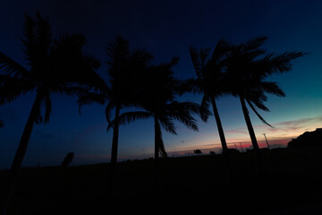 熱帯夜の序章：石垣島の地平線に消えゆく最後の光とヤシの影 Prelude to a Tropical Night: The Last Light Fading on Ishigaki's Horizon and Palm Shadows