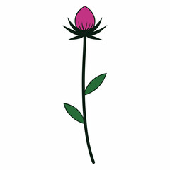 pink flower isolated on white