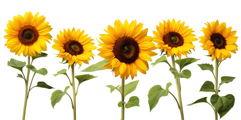 A completely black image with no visible content or discernible features in the entire frame view area